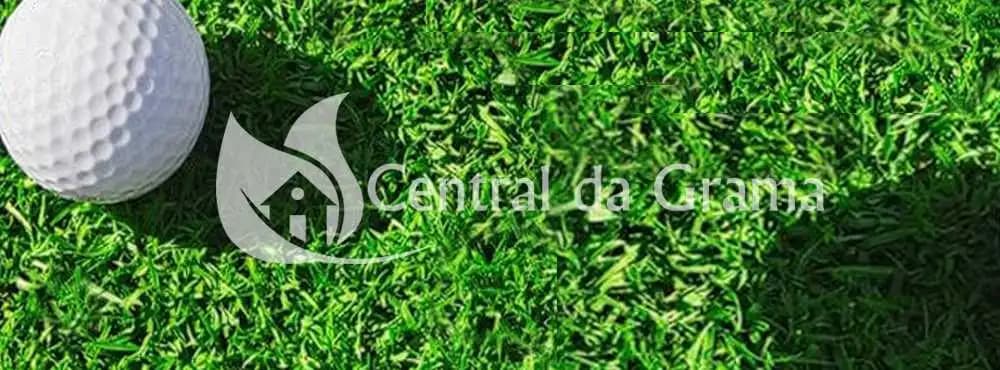 capa de conteúdo da grama coreana